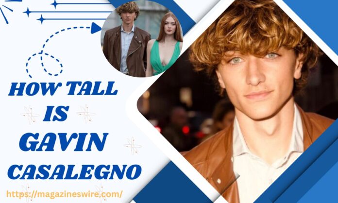 Add a heading (6) how tall is gavin casalegno